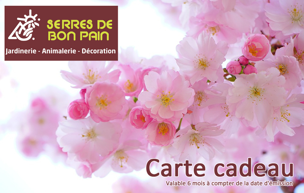 Faites-lui plaisir !