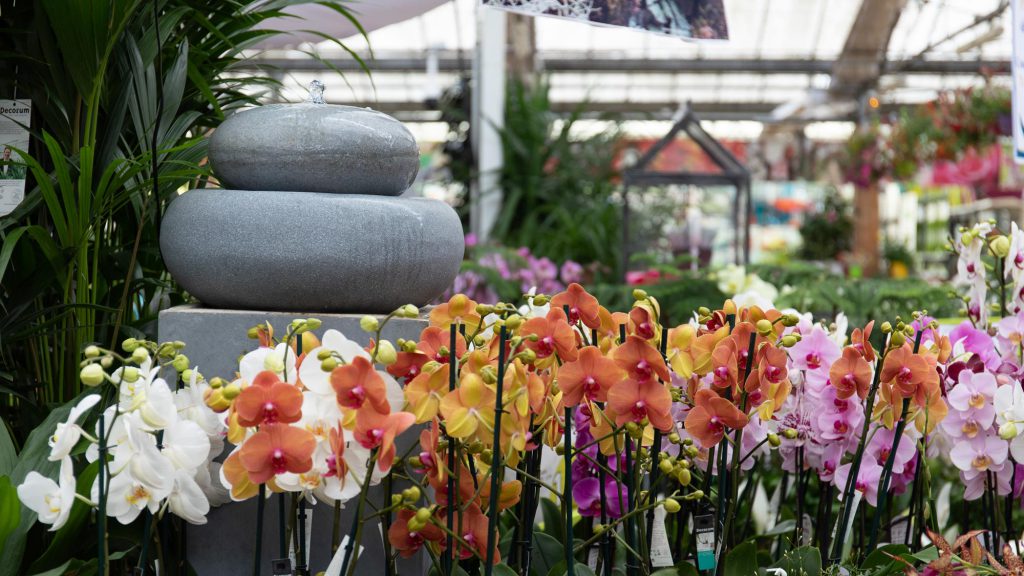 Une fontaine décorative dans la serre chaude