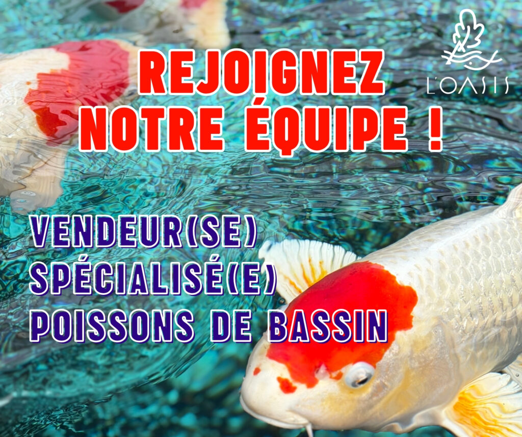 recrutement secteur bassin septembre 2026