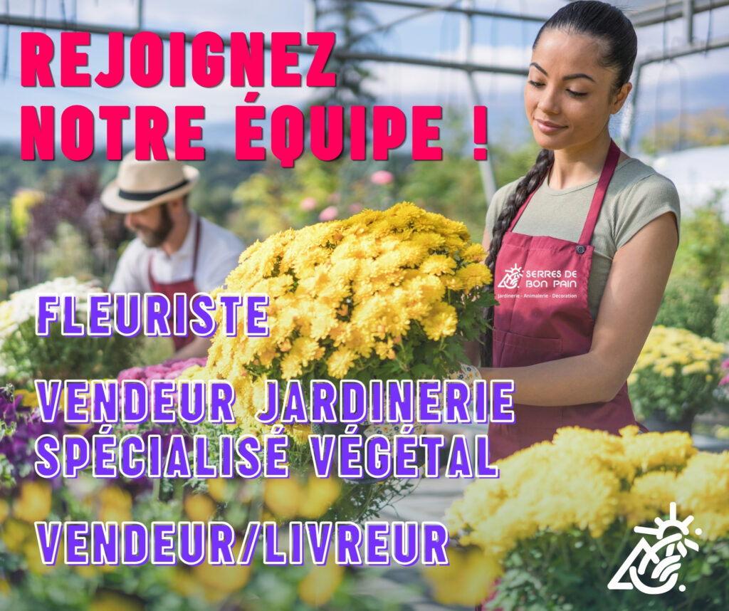 Recrutement 2026